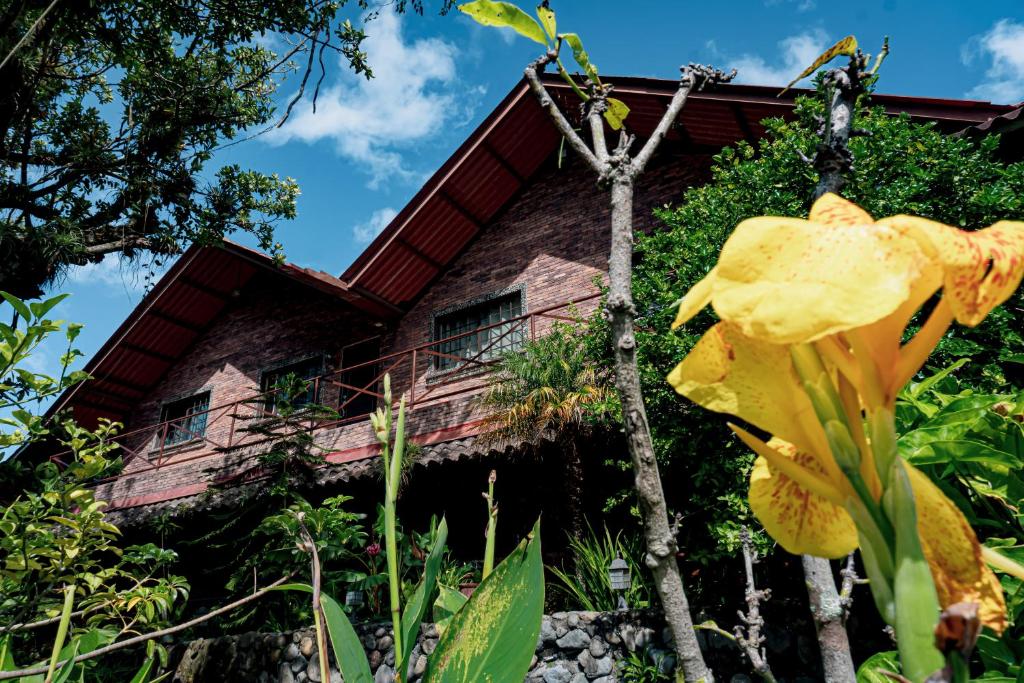 a house with a yellow flower in front of it at Stone Cabins Boquete in Boquete