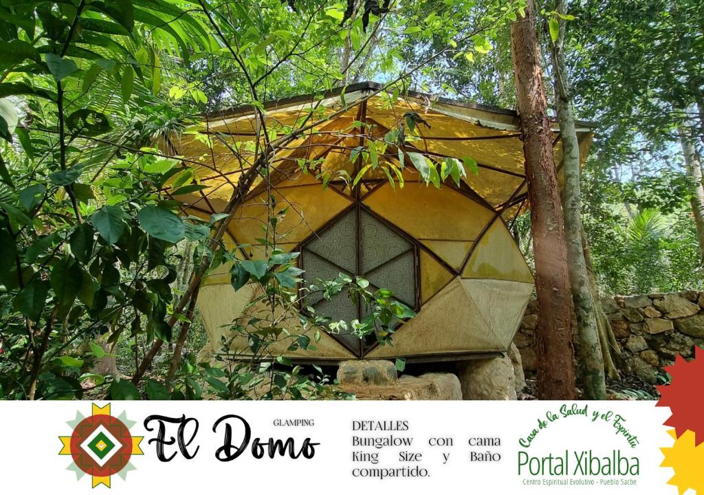 Portal Xibalba في بلايا ديل كارمن: منزل طيور في وسط غابة
