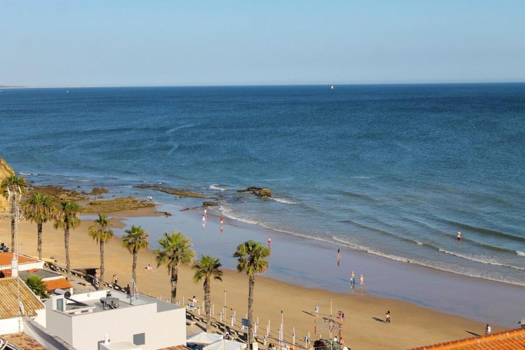 widok na plażę z palmami i ocean w obiekcie Varandas do Mar Apartamento T2R frente mar Olhos de gua Albufeira w mieście Olhos de Água