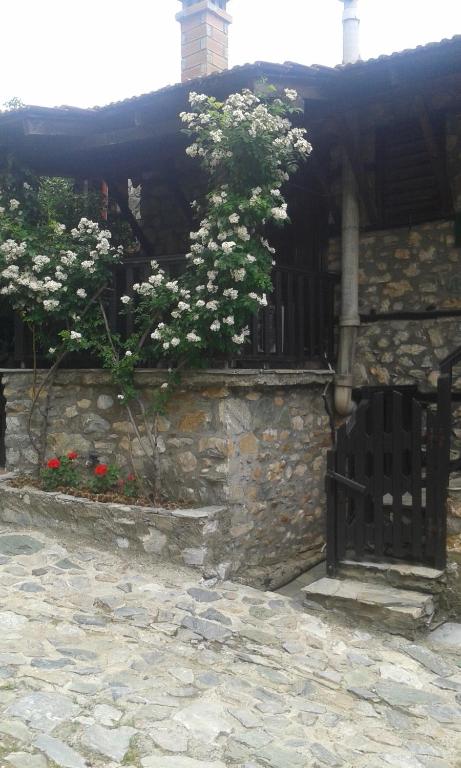 Zahrada ubytování Traditional Guesthouse Archontoula