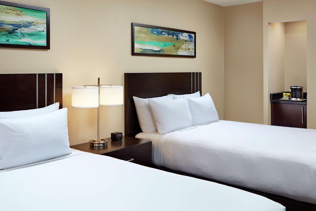 Hilton Houston Plaza/Medical Center photo
