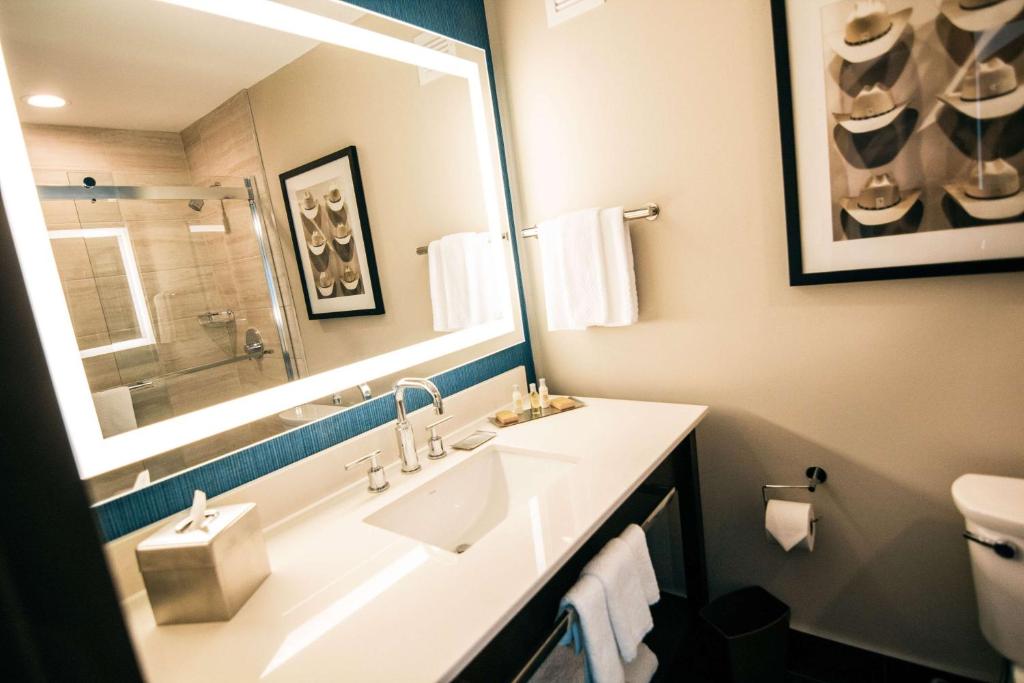 Koupelna v ubytování Doubletree By Hilton Lubbock - University Area