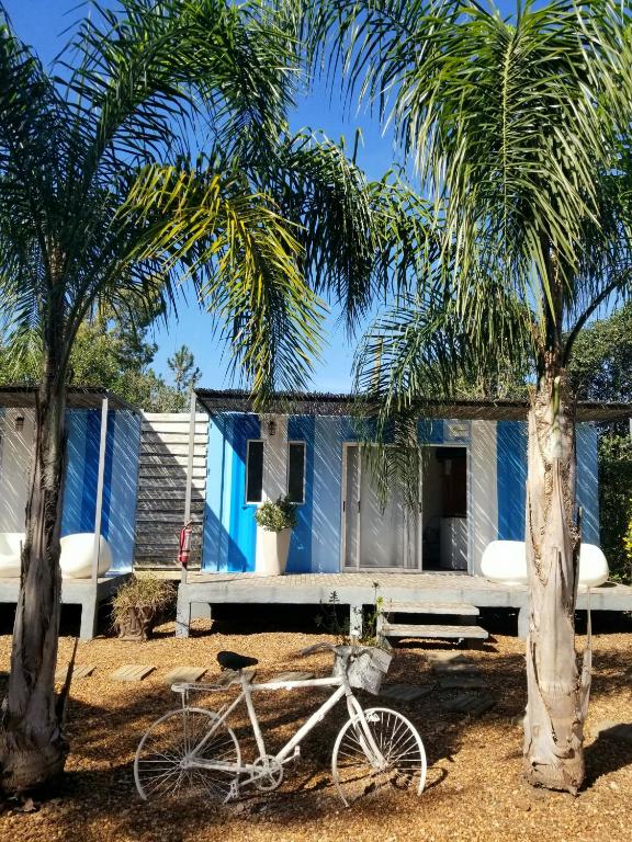 Squania Suite Container & Monoambientes