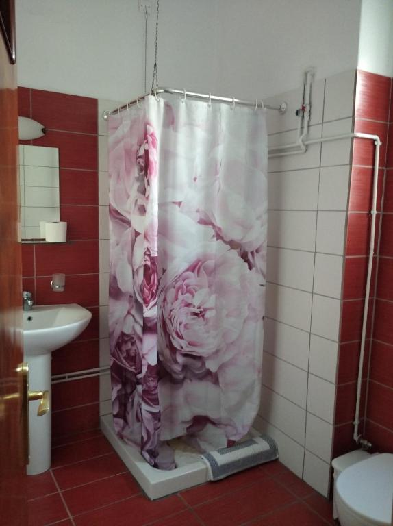 Koupelna v ubytování Hotel Ion