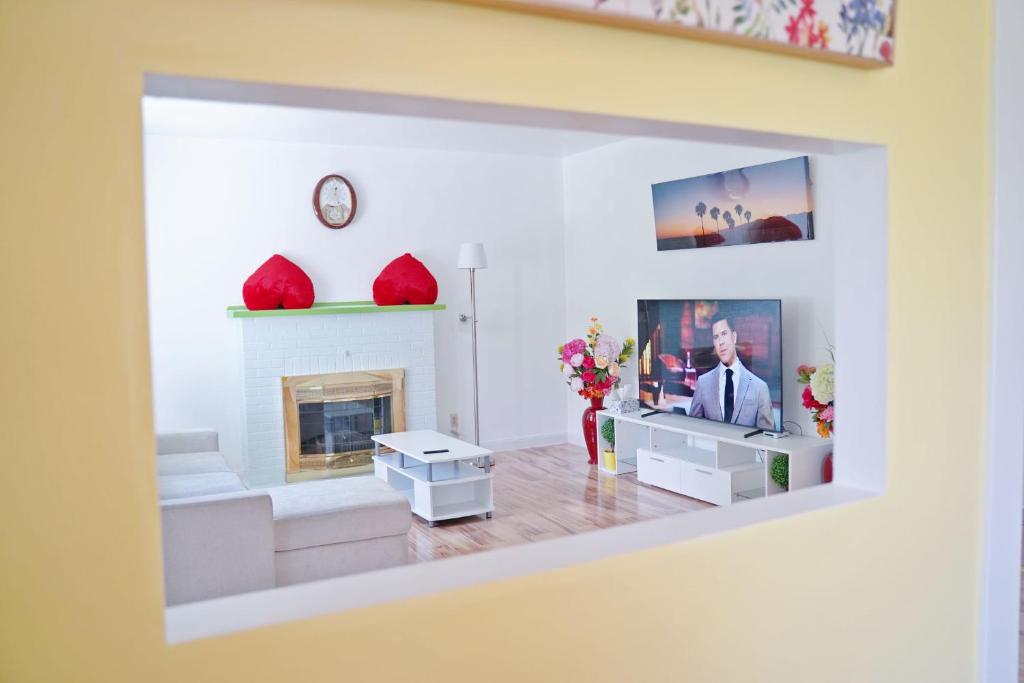 een woonkamer met een open haard en een televisie bij Tranquil cozy Apartment in charming area in Albany
