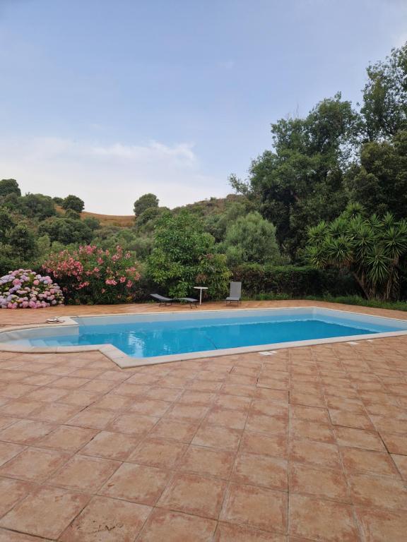 una piscina azul en un patio con árboles en Villa maquis en Afa