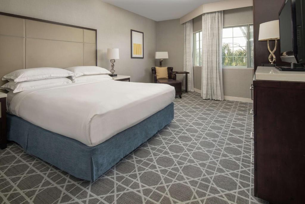 Hilton San Diego/Del Mar - Camera King Con Doccia Roll-In - Mobilità Access