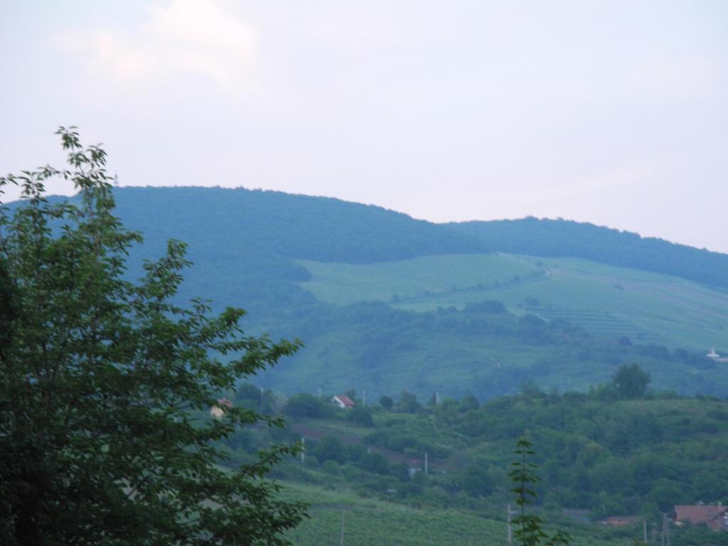 Výhľad na hory alebo výhľad na hory priamo z apartmánu