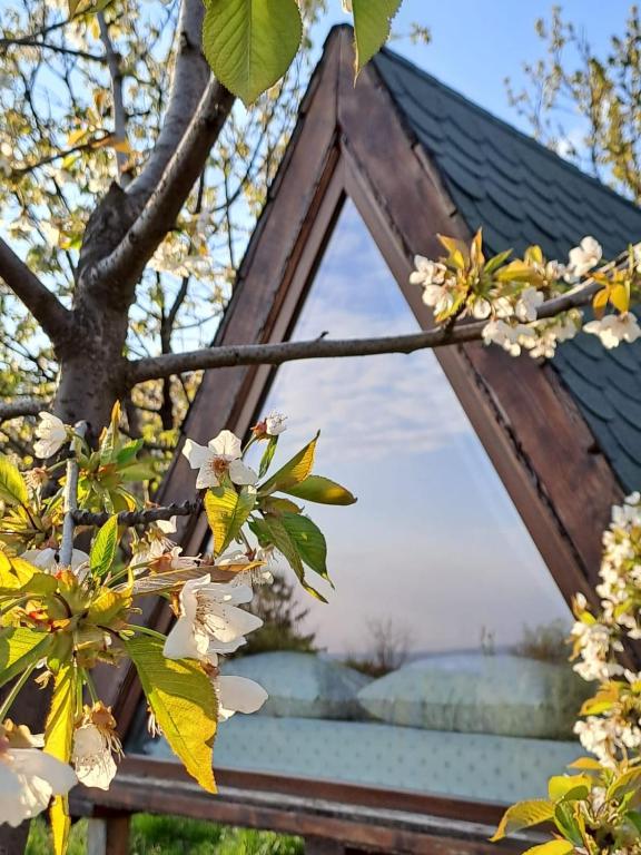 Příroda nedaleko luxury tent