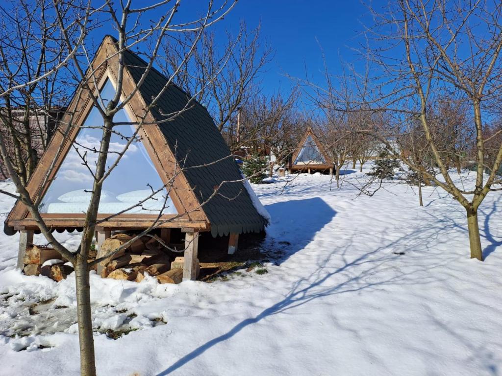 Zen Garden v zimě