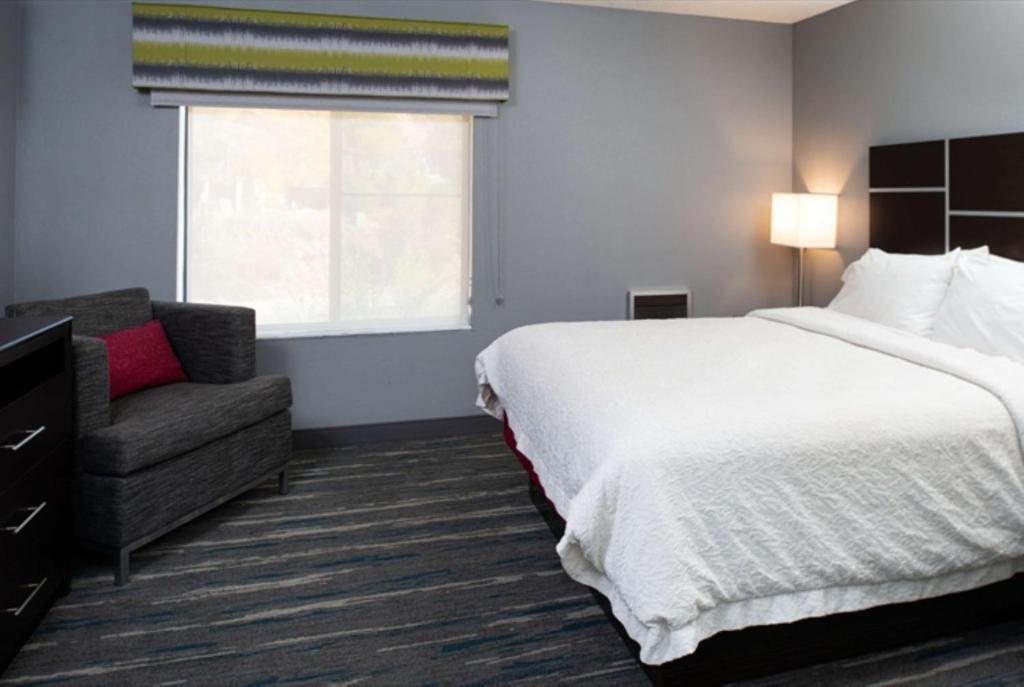 Hampton Inn Glenwood Springs - Camera King - Accesso Disabili/Non Fumatori
