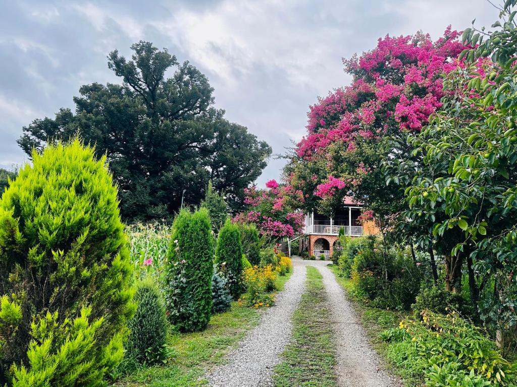 Zahrada ubytování Guesthouse Kamelia
