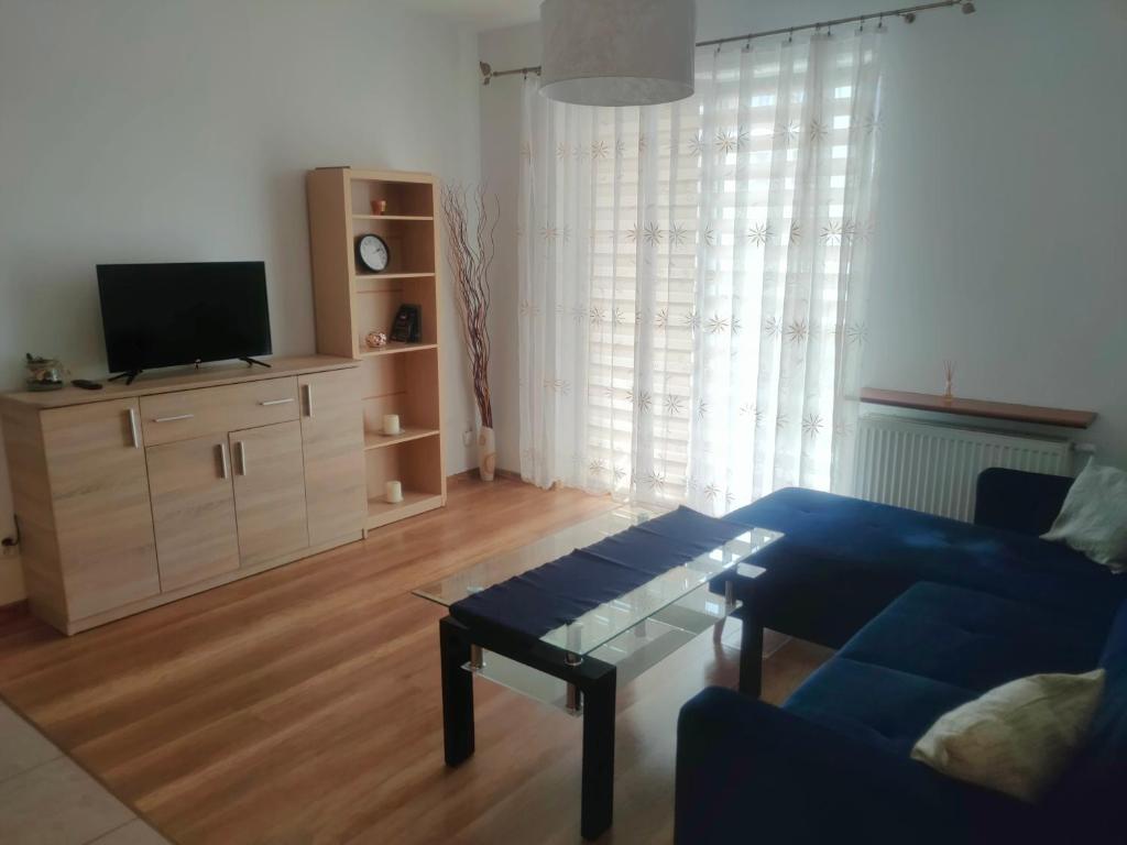 ein Wohnzimmer mit einem blauen Sofa und einem TV in der Unterkunft Mieszkanie Suwałki in Suwałki