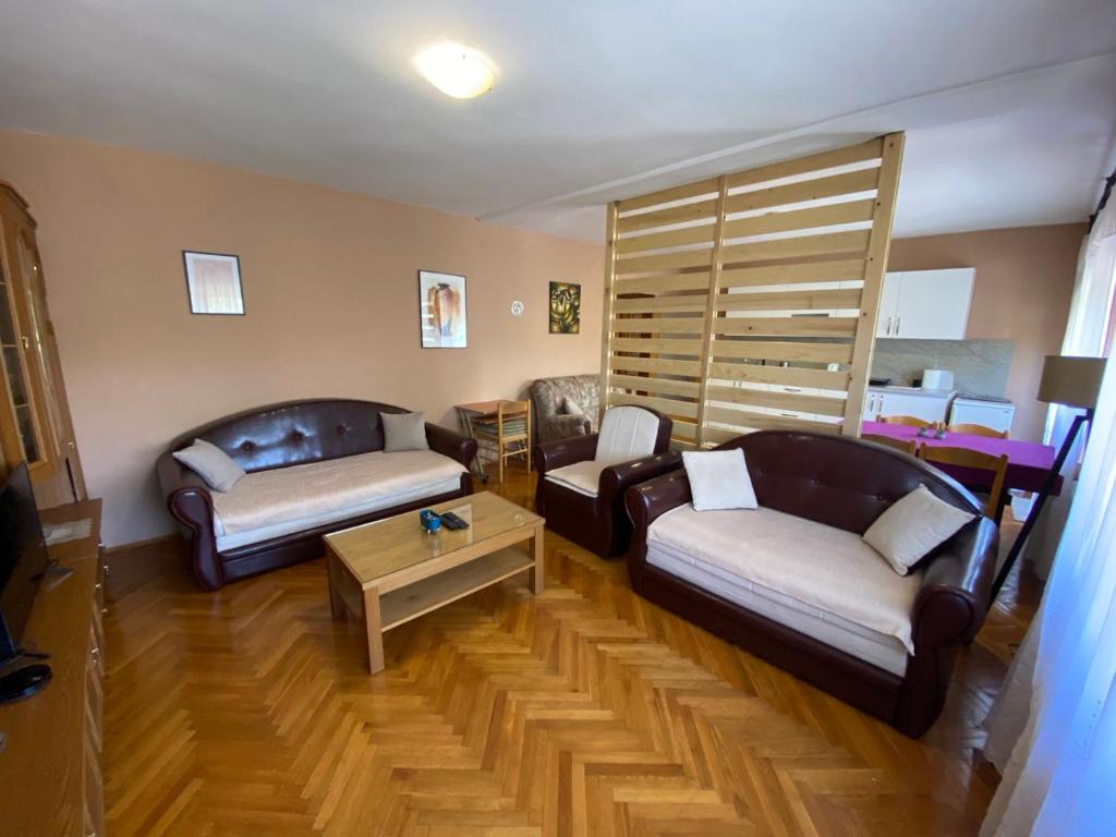 Sala de estar con 2 sofás y mesa de centro en Apartman Lavanda, en Drvar