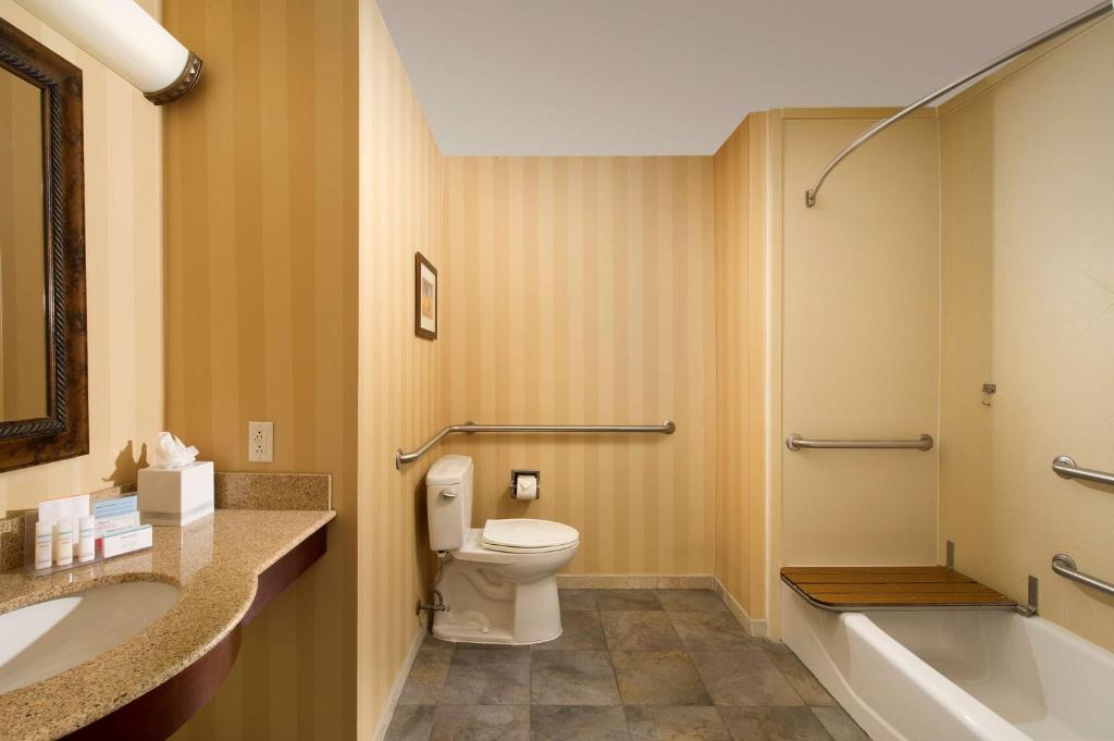 Hampton Inn and Suites San Antonio Airport - King Room - Mobility Access/Non-Smoking