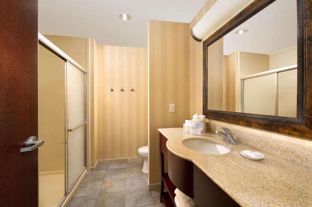Hampton Inn and Suites San Antonio Airport - King Room - Non-Smoking