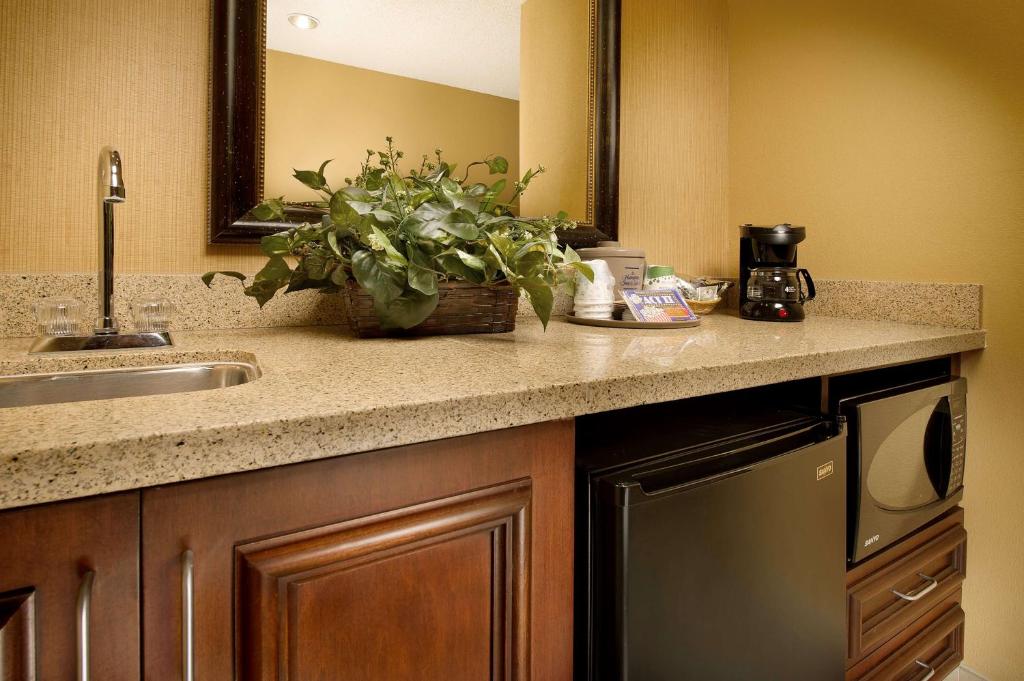 Hampton Inn and Suites San Antonio Airport - King Studio Suite - Non-Smoking