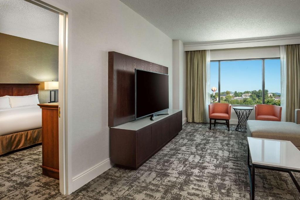 Hilton Greenville - Suite King