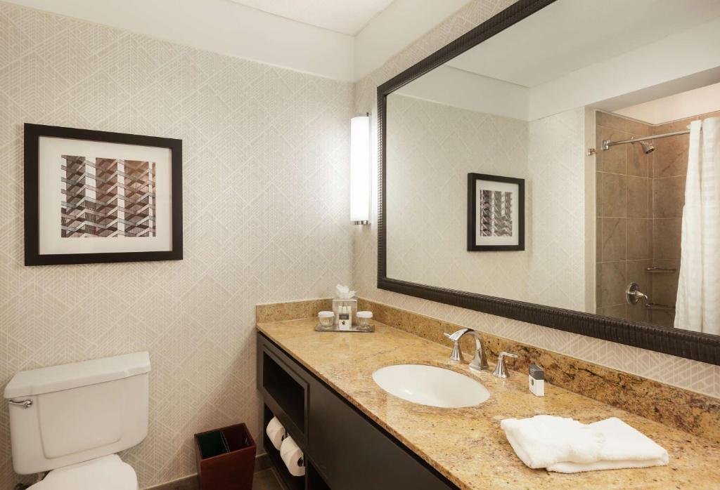 DoubleTree by Hilton Hotel & Suites Houston by the Galleria - King Room