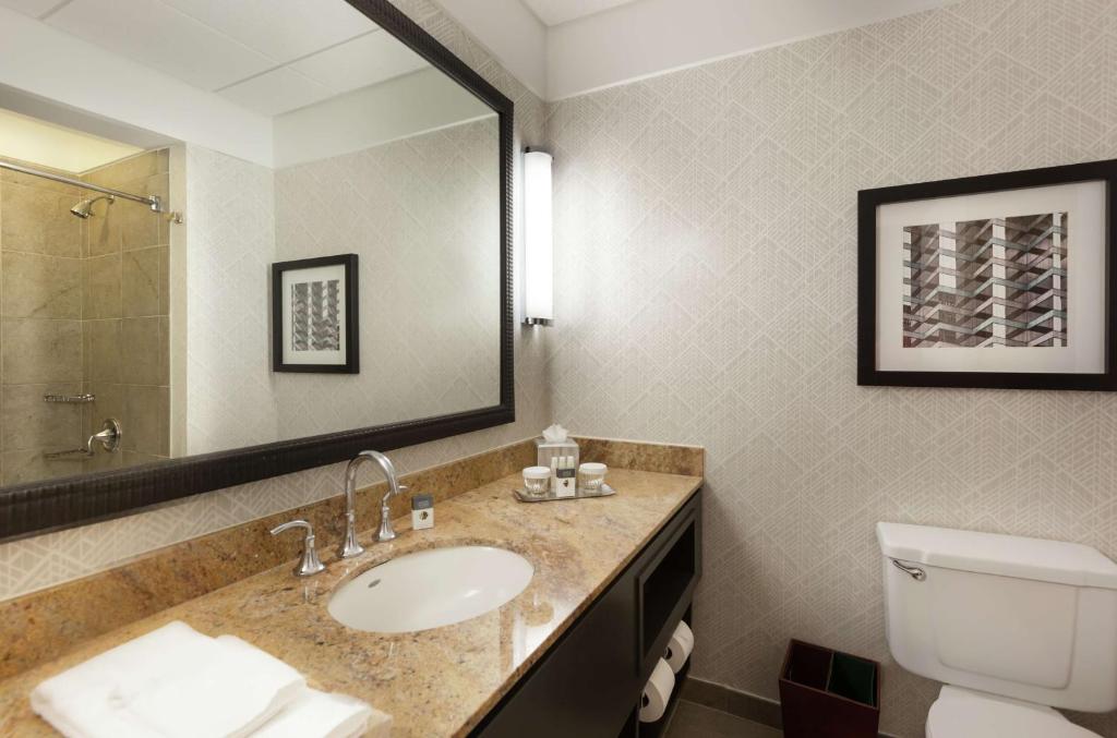 DoubleTree by Hilton Hotel & Suites Houston by the Galleria - King Room With Roll-In Shower - Mobility Access