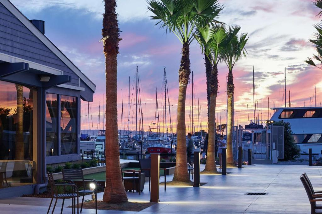 een groep palmbomen en een jachthaven met boten bij DoubleTree by Hilton Hotel Berkeley Marina in Berkeley