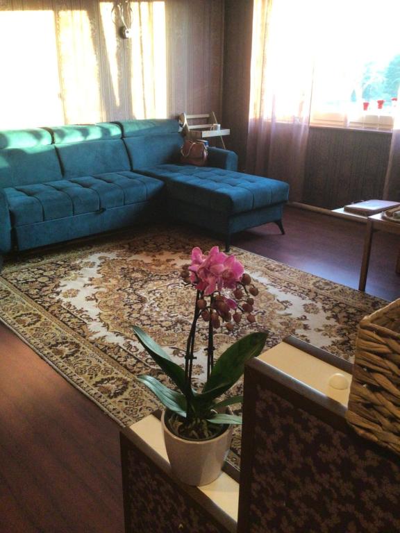 een woonkamer met een blauwe bank en een potplant bij Luxurious En-suit room with Sauna in Pyussi