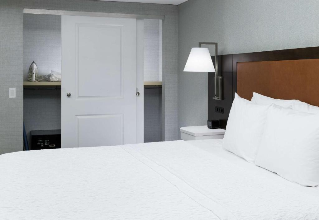 Hampton Inn & Suites Memphis-Beale Street - Chambre King Mobilité/Audience Accessible Avec Baignoire