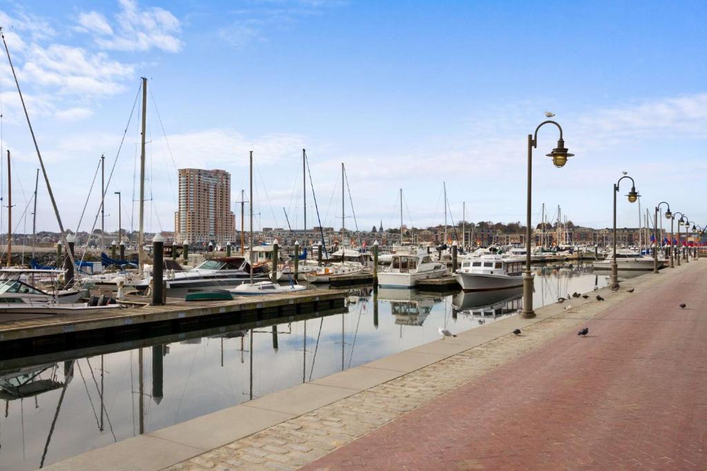 un porto turistico con barche ormeggiate in acqua di Hilton Garden Inn Baltimore Inner Harbor a Baltimora