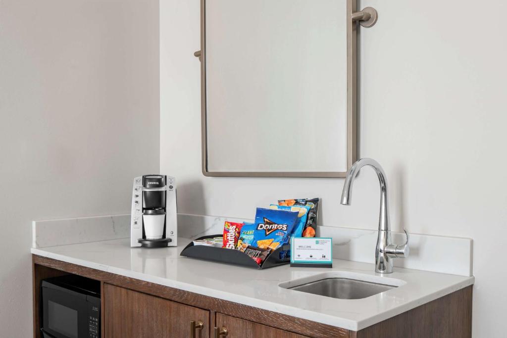 Embassy Suites by Hilton Charleston Harbor Mt. Pleasant - Premium King Studio Suite