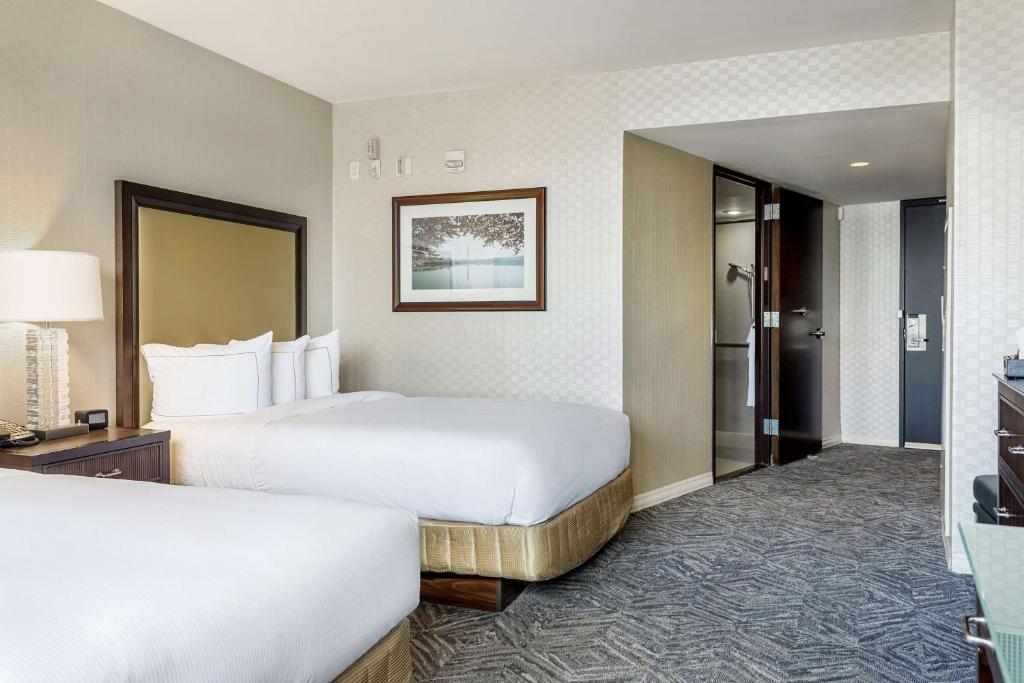 Washington Hilton - Double Room With Two Double Beds And Roll-In Shower - Mobility/Hearing Access