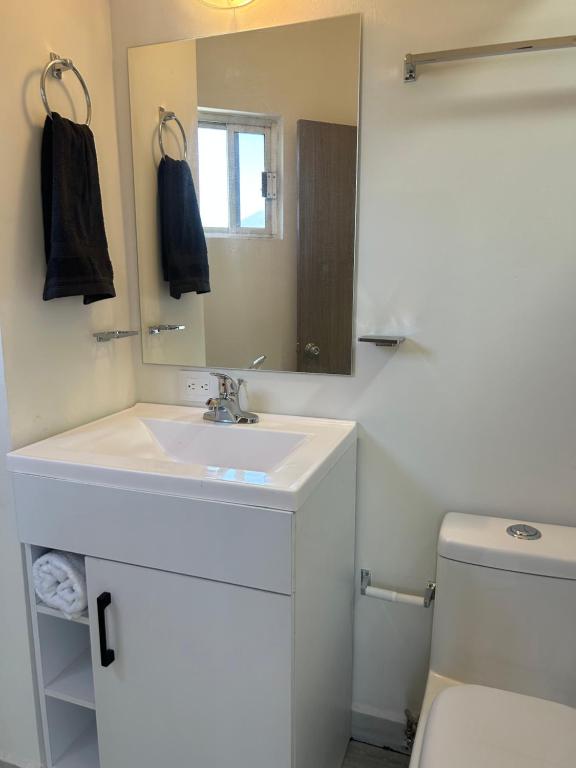 bagno con lavandino, specchio e servizi igienici di Casa Nórdica - Monterrey a Monterrey