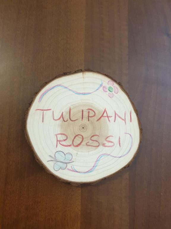 Ein weißer Frisbee, der auf einem Tisch steht. in der Unterkunft Appartamento I Tulipani. Camera I Tulipani Rossi in Barberino di Mugello