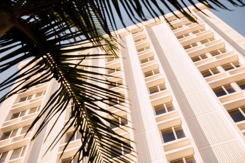 洛杉磯的住宿－Hotel June West LA, a Member of Design Hotels，一座高大的白色建筑,前面有一棵棕榈树