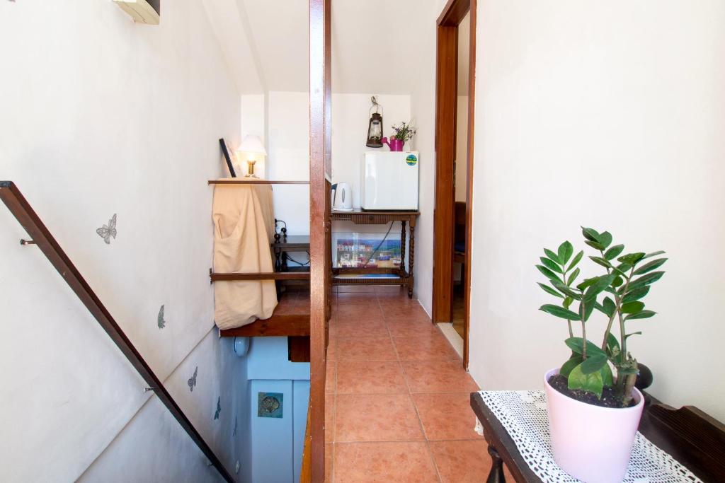 Kuchyň nebo kuchyňský kout v ubytování Split Accommodation