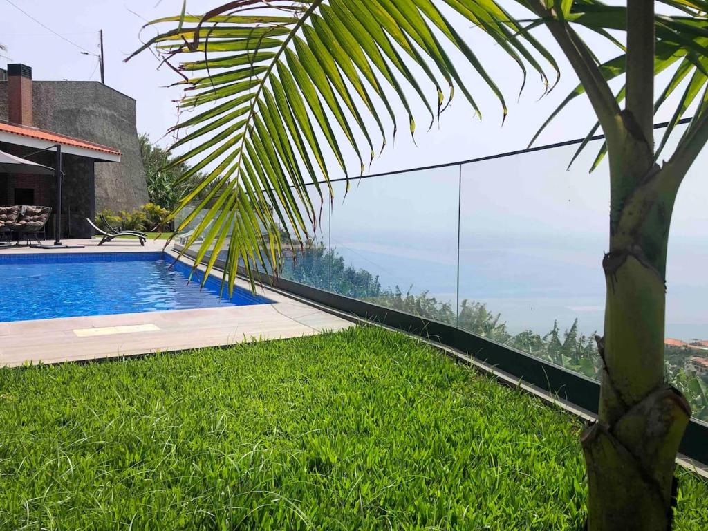 ein Haus mit einem Pool und einer Palme in der Unterkunft Art Sunset Luxuary Villa in Ribeira Brava