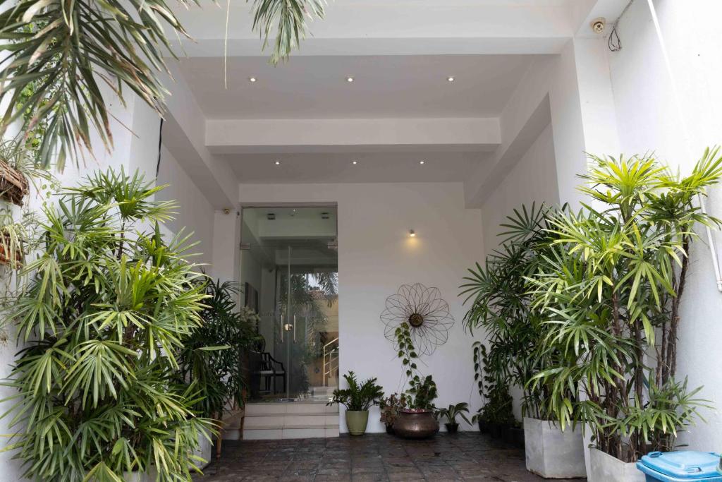 Zahrada ubytování Lotus Colombo Guesthouse