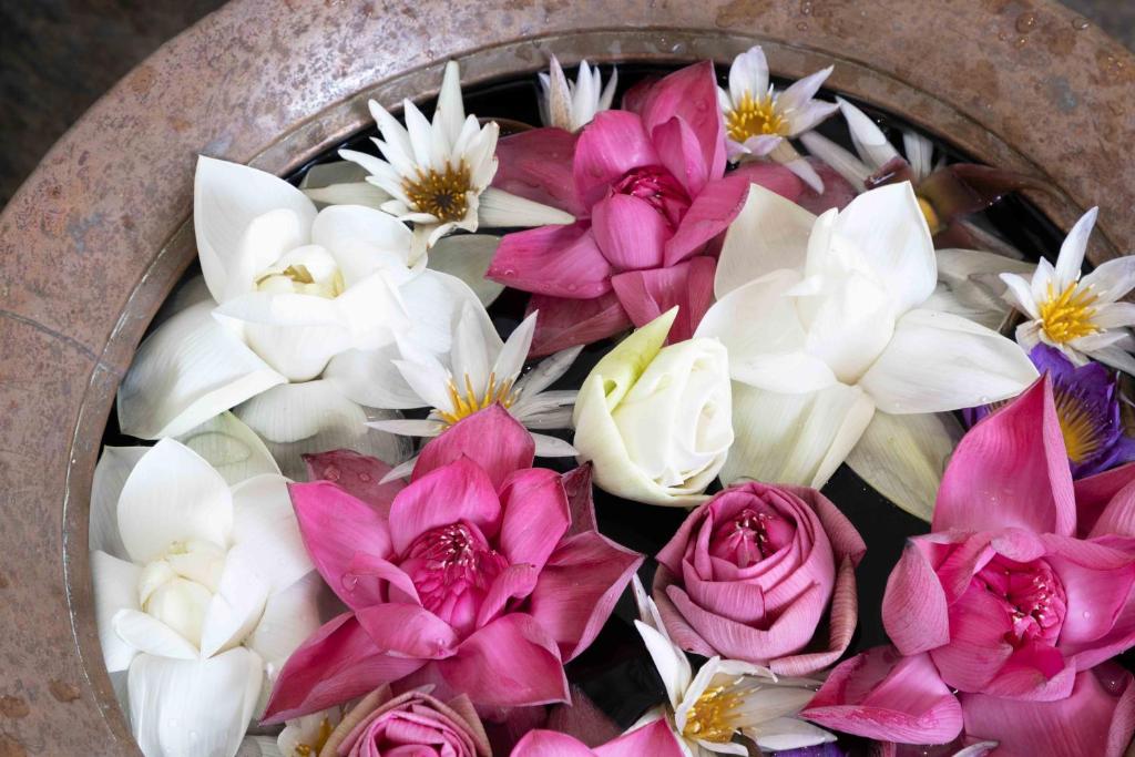 Fotografie z fotogalerie ubytování Lotus Colombo Guesthouse v destinaci Colombo
