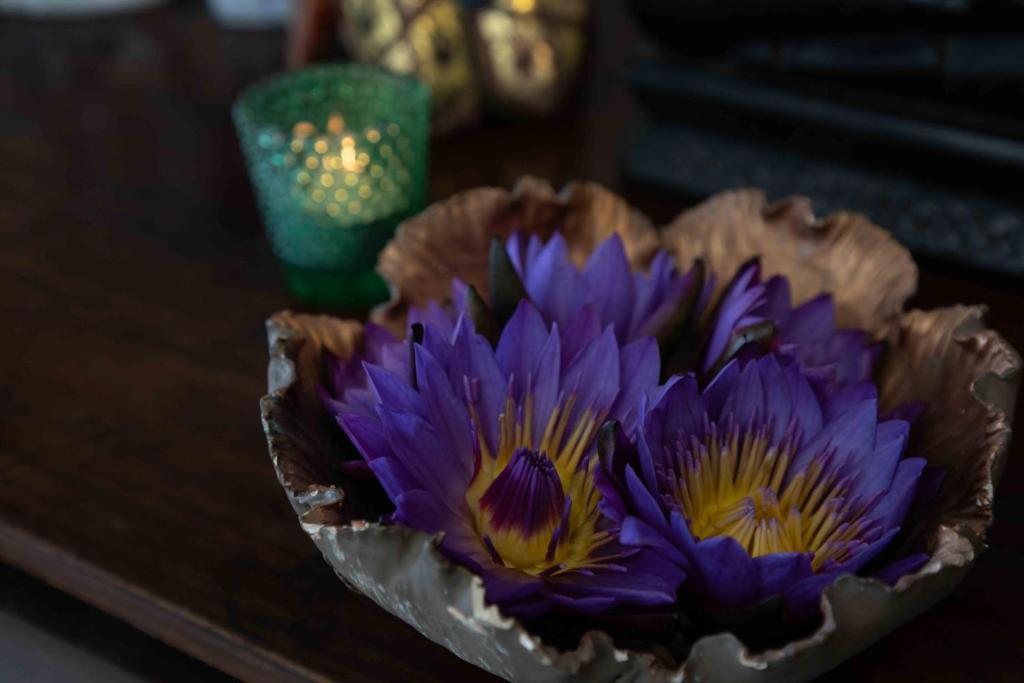 Fotografie z fotogalerie ubytování Lotus Colombo Guesthouse v destinaci Colombo
