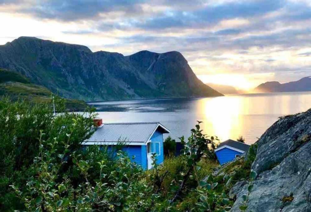 a house on the shore of a body of water at Blue Dream Cottage on Seiland island in Skakkebakken