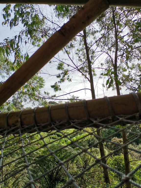 Φυσικό τοπίο κοντά σε αυτό το κάμπινγκ