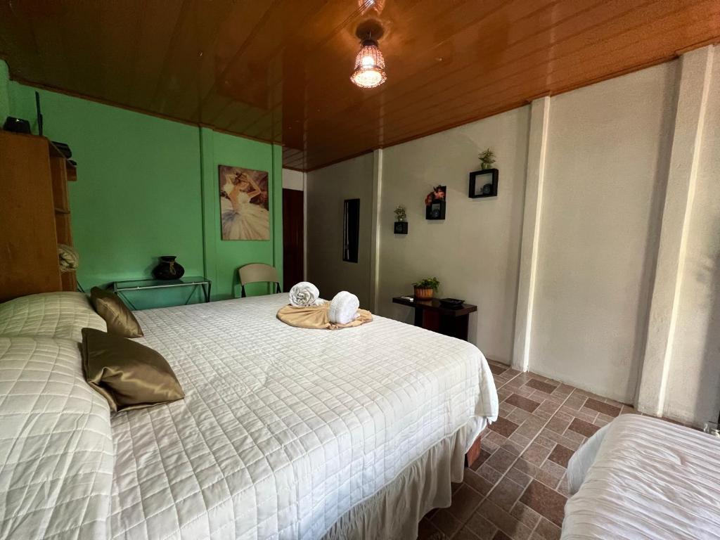 トルトゥゲーロにあるTortuguero Hill Roomsのベッドルーム1室(上に帽子付)