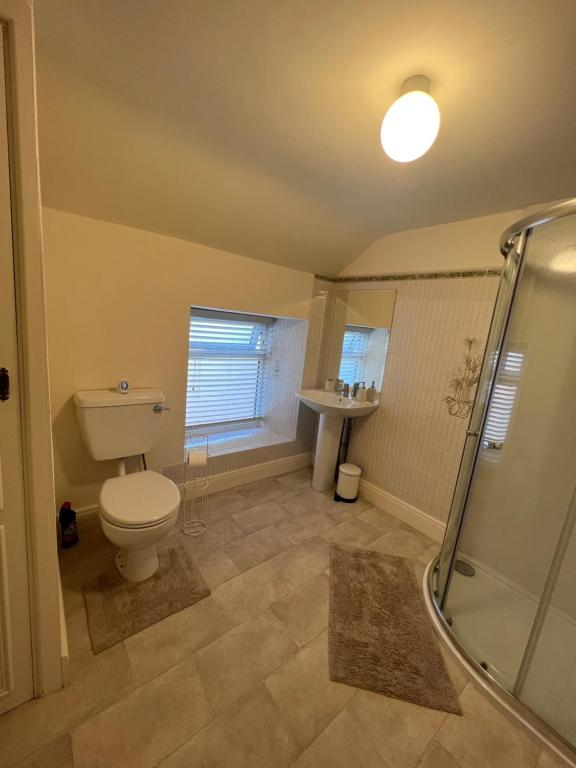 een badkamer met een toilet, een douche en een wastafel bij Epworth Cottage in Crich