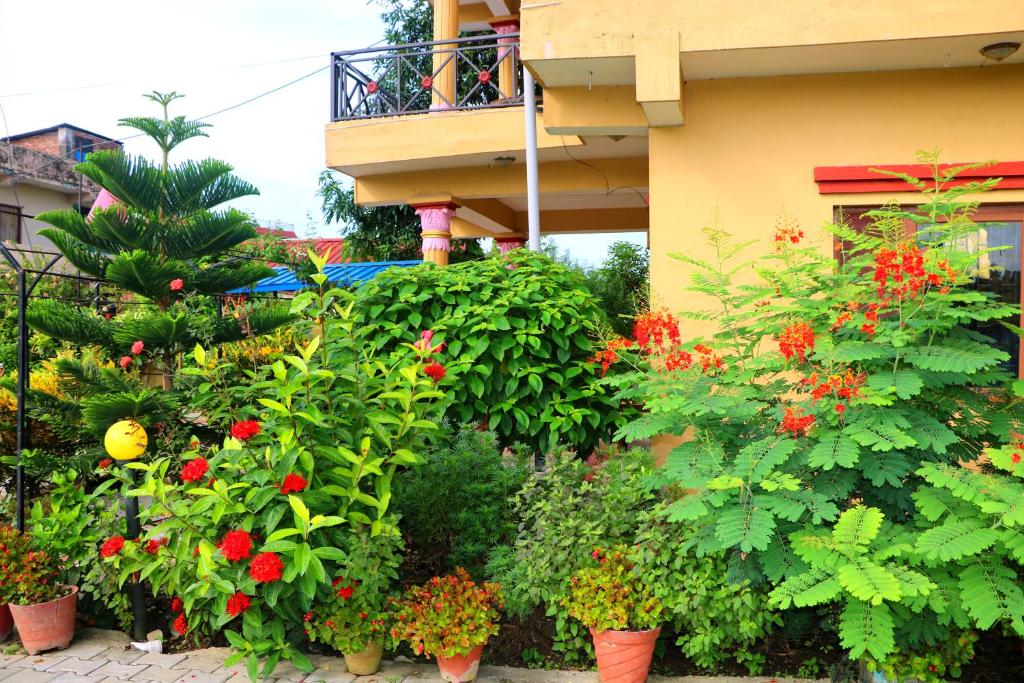 Zahrada ubytování Hotel National Park- A peaceful Family home where you can stay Peace and Enjoy and Organize the wildlife Safari
