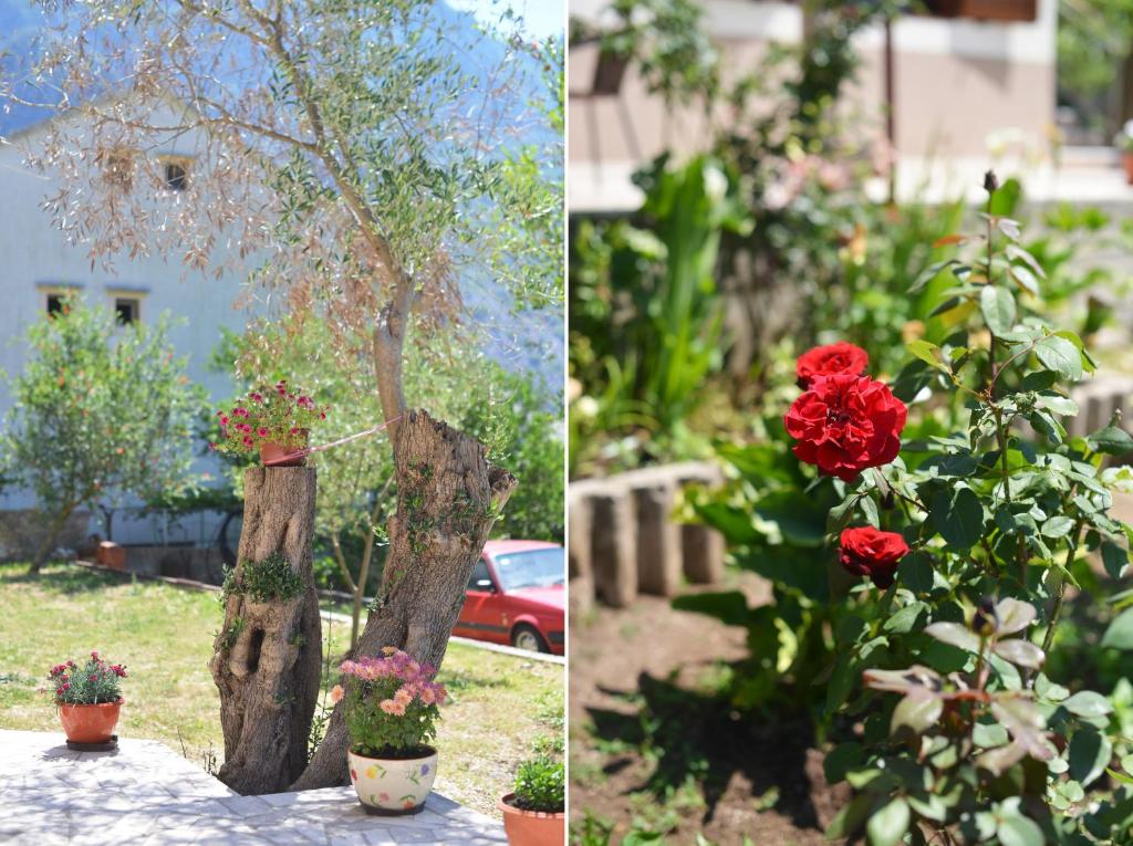 B & M Apartments - 13