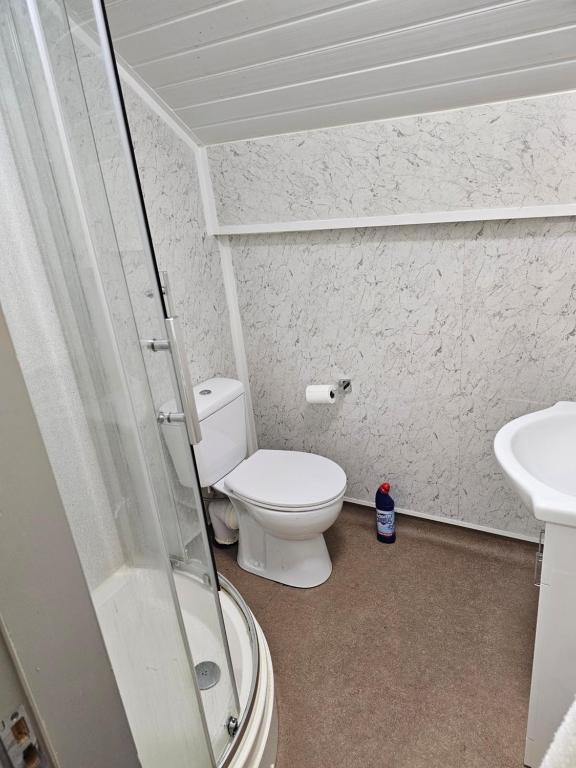 een badkamer met een toilet en een wastafel bij One bedroom apartment in Birmingham
