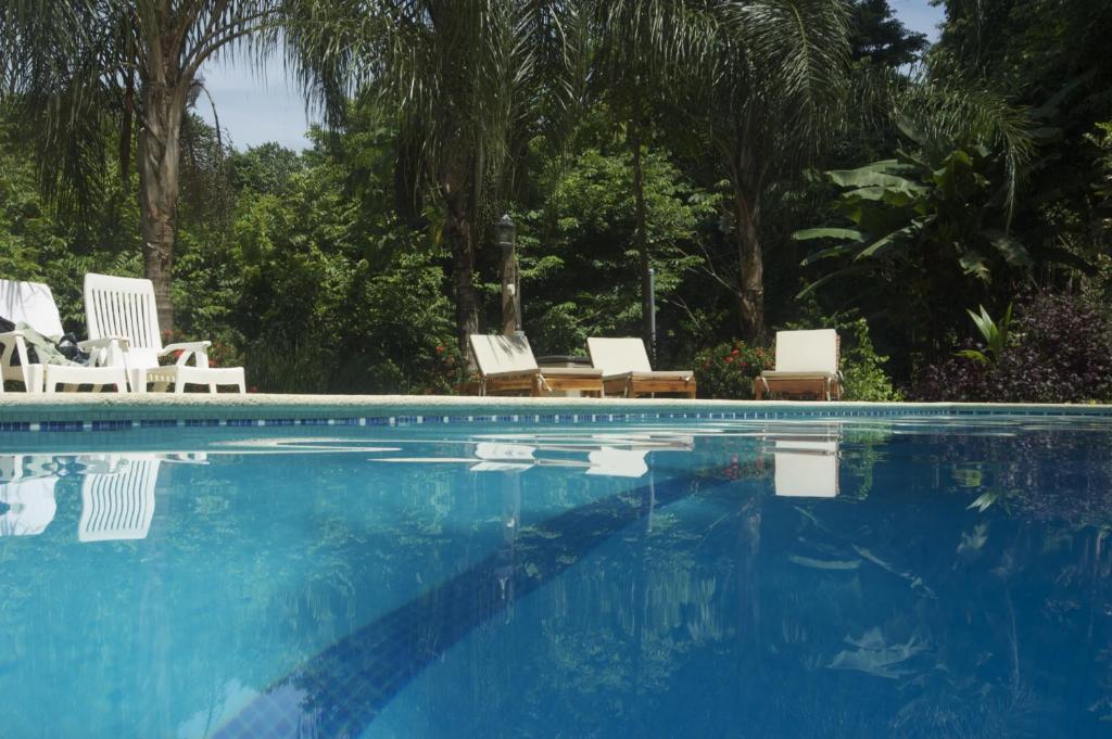 Funky Monkey Lodge pool