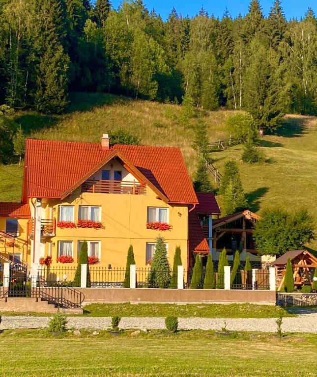 a house with a red roof on a hill at Casa Anghel in Bilbor