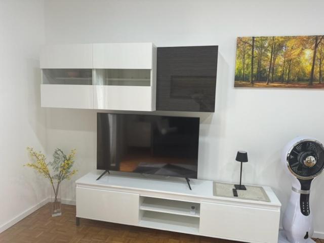 Telewizja i/lub zestaw kina domowego w obiekcie CEJM Apartments Merano