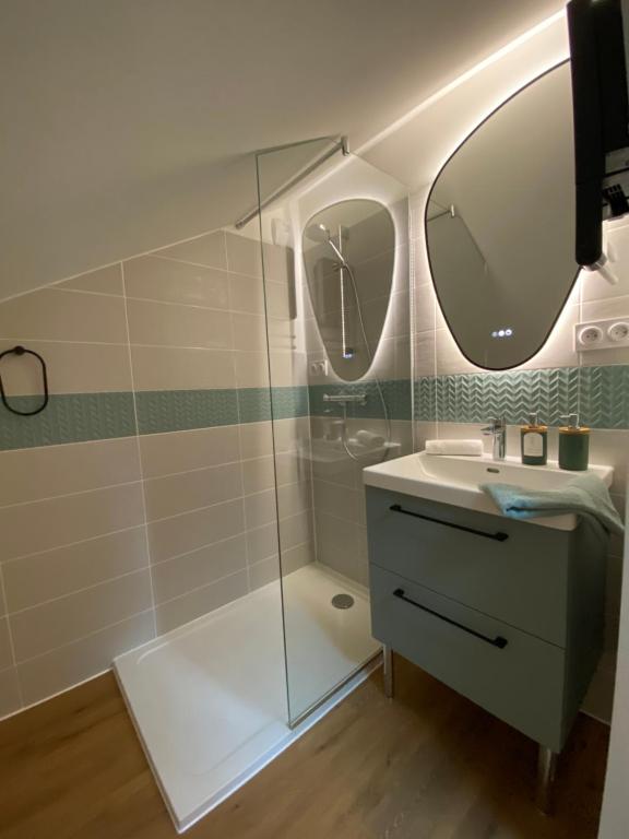a bathroom with a shower with a sink and a mirror at Le Lys Écossais in Aubigny-sur-Nère
