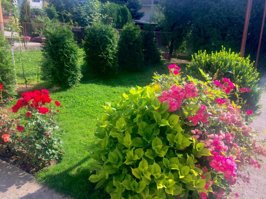 een tuin met roze en groene planten en bloemen bij Apartman Balkan in Visoko